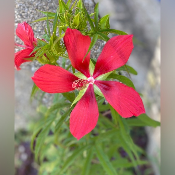 Meet your Posher :-) - Picture 8 of 17